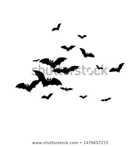 Foto stock: Halloween Bat