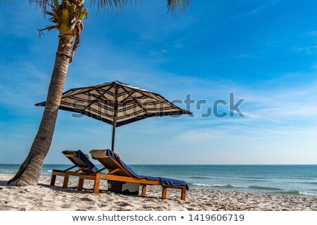 ストックフォト: Two Coconut Tree And Blue Sky With Text Space