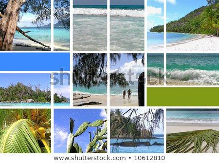 Stockfoto: Montage Of A Serene Woman On A Beach