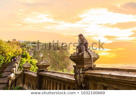 Сток-фото: Monkey In Temple Bali Indonesia