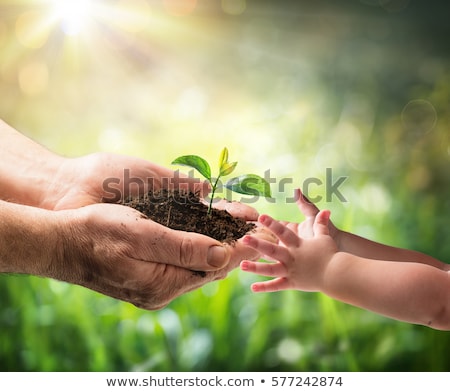 Foto stock: Old Man And Baby Holding Young Plant In Hands