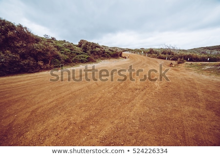 Stock photo: Dirt Road