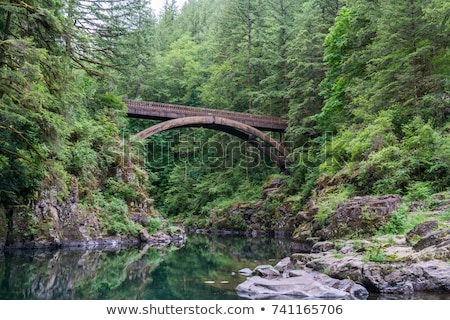 Zdjęcia stock: Arch Bridge At Moulton Falls Park