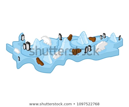 Stock photo: Antarctic Isometric Map Animal And Plants North Pole Flora And