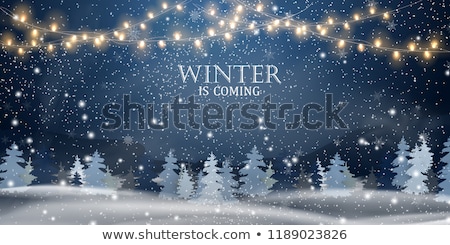 Stok fotoğraf: Christmas Card With Snowy Landscape
