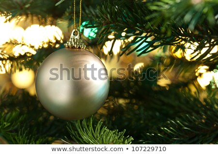 Gold Bauble Tree Reflection Stock photo © 3523studio