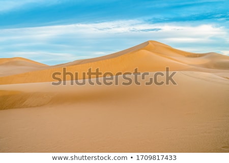 Stok fotoğraf: Sand Dune In Sunrise In The Desert