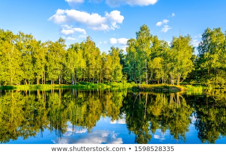 Stockfoto: Spring Forest River With Reflection Of The Sky