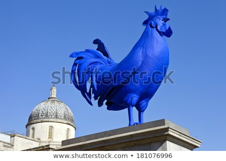 Blue Cockerel ストックフォト © chrisdorney