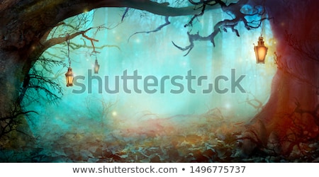 Волшебный лес Сток-фото © mythja