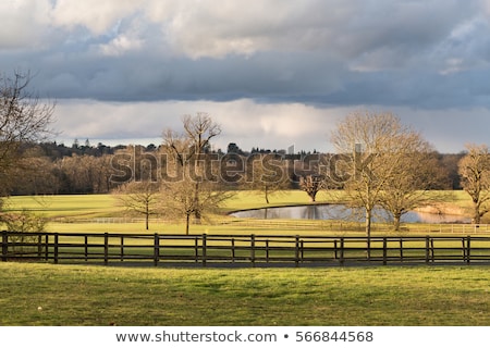 A Lake In An Old Village In England As The Winter Sun Appears Af Stok fotoğraf © chrisukphoto