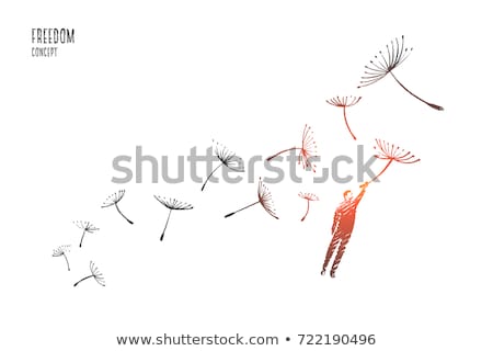 Foto stock: Dandelion In A Man Hand