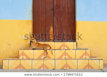 Foto stock: Colonial Architecture Of Granada