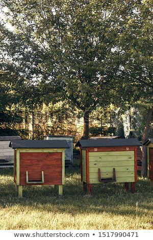 Stockfoto: Apiary With Couple Hives In A Orchard