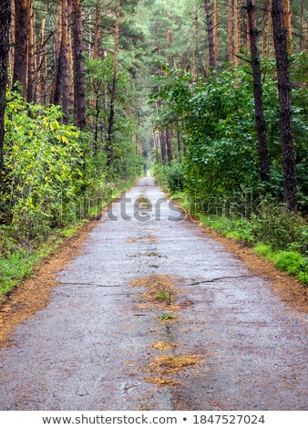 Stock foto: Middle Of The Road