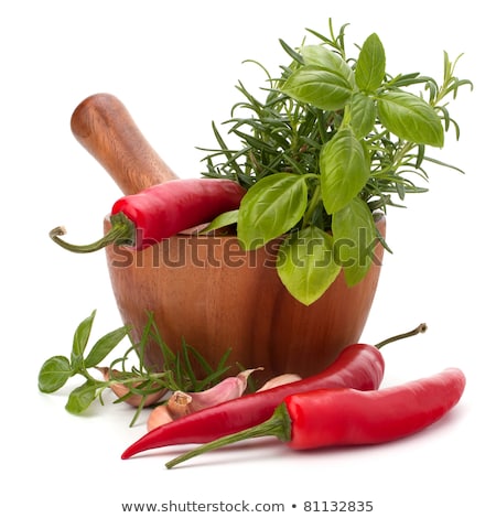 Stockfoto: Fresh Flavoring Herbs And Spices In Wooden Mortar