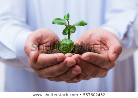 ストックフォト: Male Hand Hold A Small Sprout And An Earth Handful