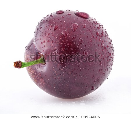 Stock foto: Blue Plum With Water Drops