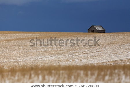 Stock fotó: Prairie Landscape In Winter