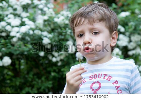 Stockfoto: Leine · jongen · bestudeert · paardenbloem