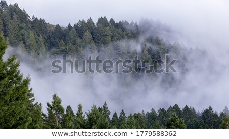 Mount And Fog Foto stock © yhelfman