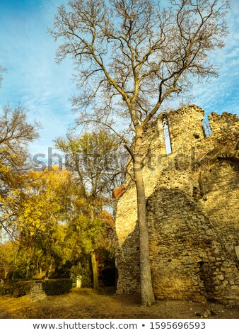 Zdjęcia stock: Photo Of Beautiful Ruined Temple On The Wonderful Sky Background