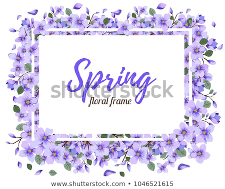 ストックフォト: Tender Violet Flower Blossom In Vector