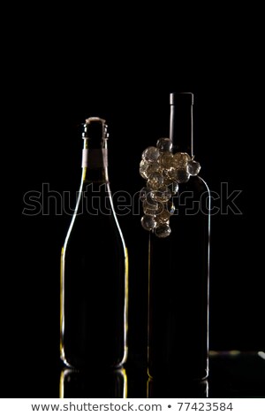 Сток-фото: Bottles Red Wine And Champain
