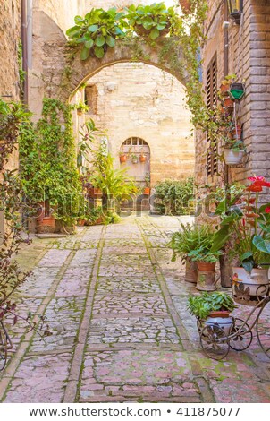 Plant In A Pot In An Ancient Town In Summer Сток-фото © Frank11