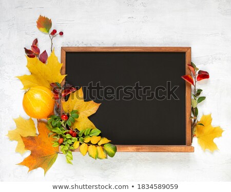 Zdjęcia stock: Still Life With Light And School Board