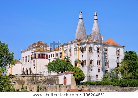 Palacio Nacional De Sintra Imagine de stoc © LianeM