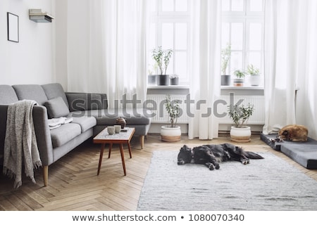 Stock photo: Blankets In Studio