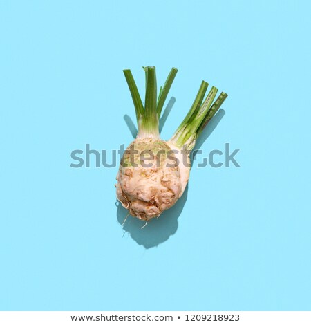 Cut Parsley Root With Green Stems On A Blue Background With Shadows And Copy Space Organic Spiceto Сток-фото © artjazz