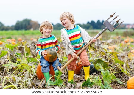 Stockfoto: A Smiling Toddler Boy With Pumpkin On Cold Autumn Day