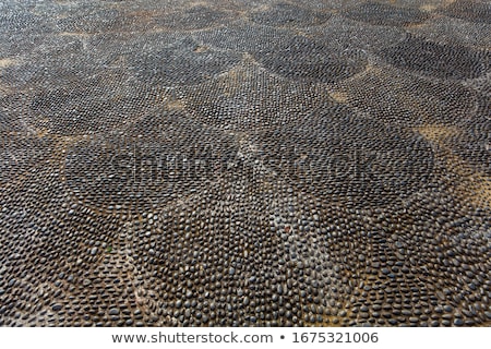 [[stock_photo]]: Cobbled Pavement Made Of Rounded Pebbles