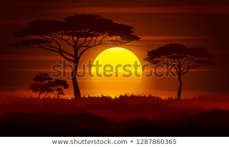 Stock photo: Sunset In Africa