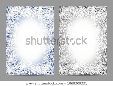 Сток-фото: Snow On The Pine Needles