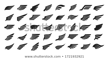 [[stock_photo]]: Premium Sign With Angel Bird Wing