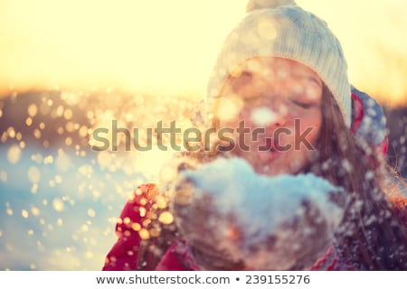 ストックフォト: Young Woman In Winter Day