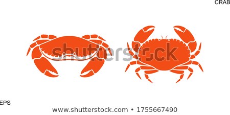 Foto d'archivio: Vector Set Of Crab