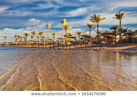 Foto stock: Tropical Beach With Palm Tree And Sunbeds