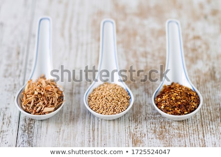 Stok fotoğraf: Various Spices In Porcelain Spoons