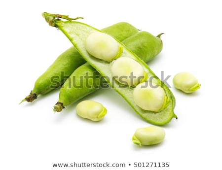 Stockfoto: Broad Bean Pods And Beans