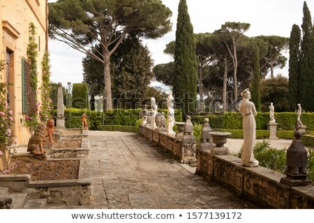 Foto stock: Tuscan Flowers