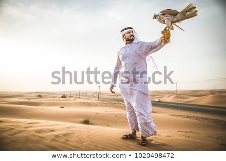 Foto stock: Falconer At Sunset