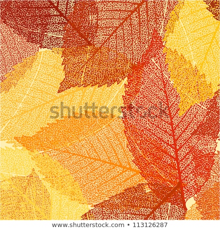 Foto stock: Dry Autumn Leaves Template Eps 8