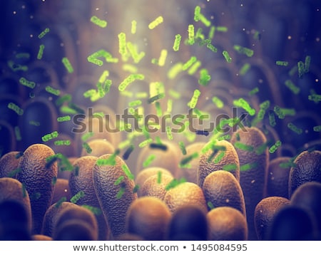 [[stock_photo]]: Intestinal Lining Anatomy And Absorption Of Nutrients