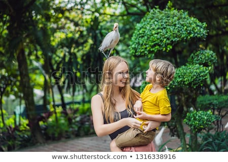 Stock photo: Mother And Son Feeding Ibes In The Park Little Egret Cattle Egret Bubulcus Ibis Waters Edge Family