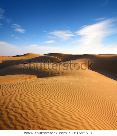 Stock fotó: Landsape In Desert