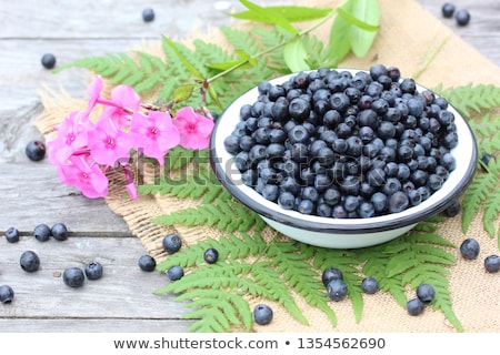 Foto stock: Wild Blueberry On Plate